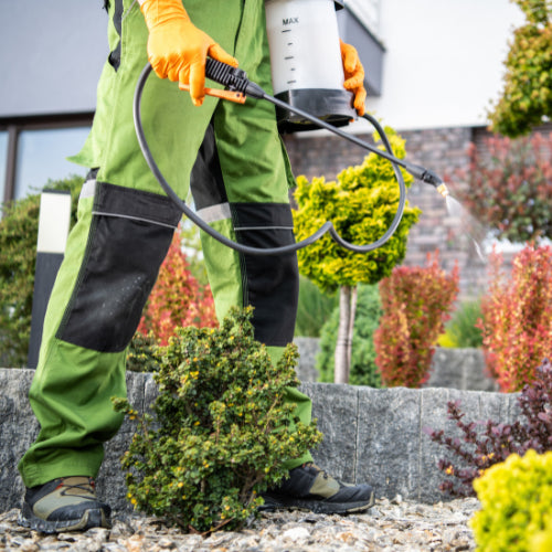 How to Maintain Your Knapsack Sprayer: A Practical Guide