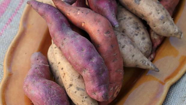 Kumara: plant, care, harvest & storage tips