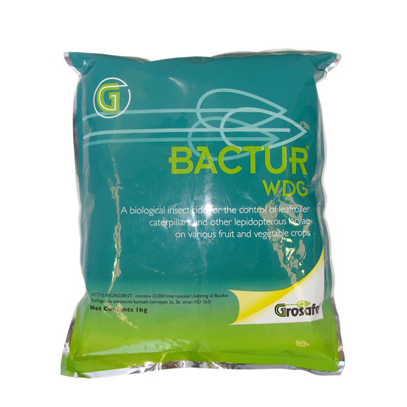 Bactur Organic insecticide 1Kg- see Genius BT 500g