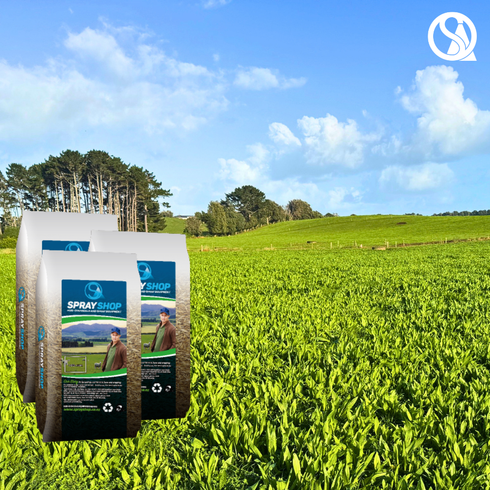 Endurance Plantain Seed 25Kg