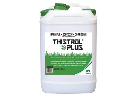 Thistrol Plus MCPB herbicide for new pasture 200L