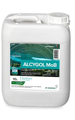 Alcygol MoB 10L