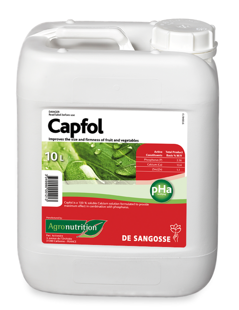 Pancal Calcium 10L