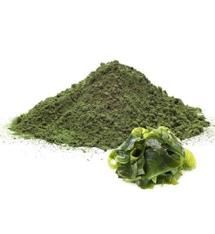 Algae Seaweed Flake 25Kg