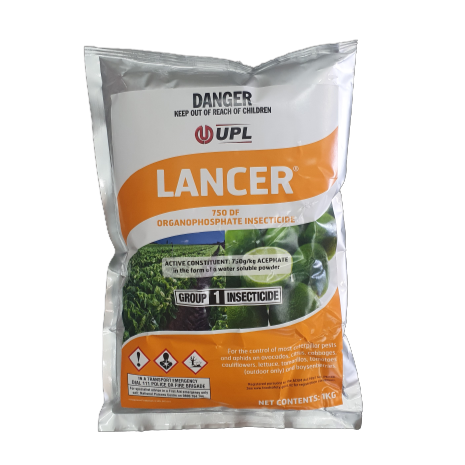 Lancer 750DF Insecticide 1kg (NDG) In stock (Orthene WSG)
