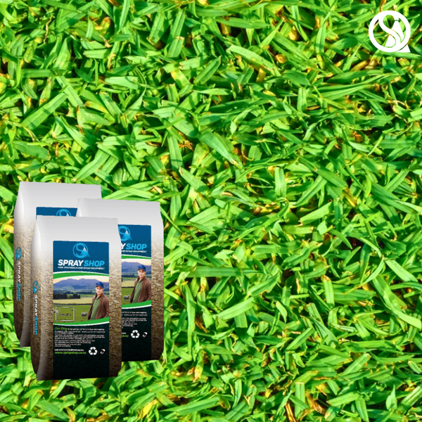 Kikuyu Grass Seed Per KG