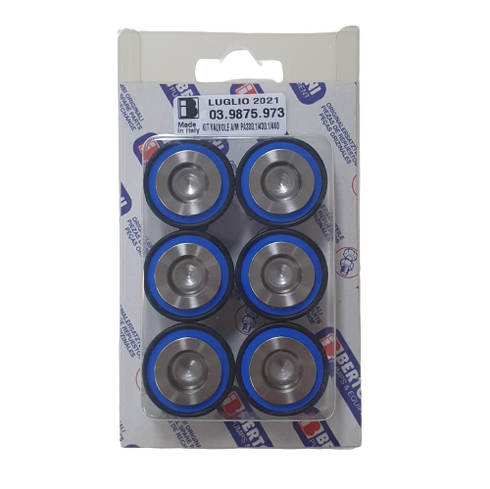 Bertolini Valve Assembly Kit suits PA330, PA430 pumps.