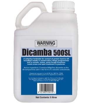 Dicamba 500SL, Bandit herbicide 5L