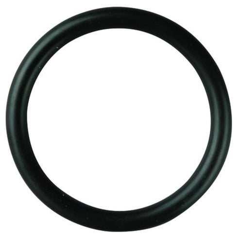 Valve O-Ring to suit comet pump.