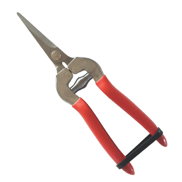 Grape Snip Secateurs Straight