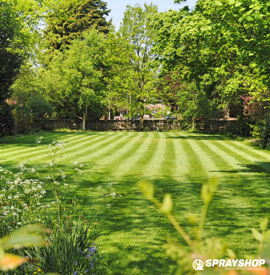 Weed Control for Lanes, Yards & Loading Ramps