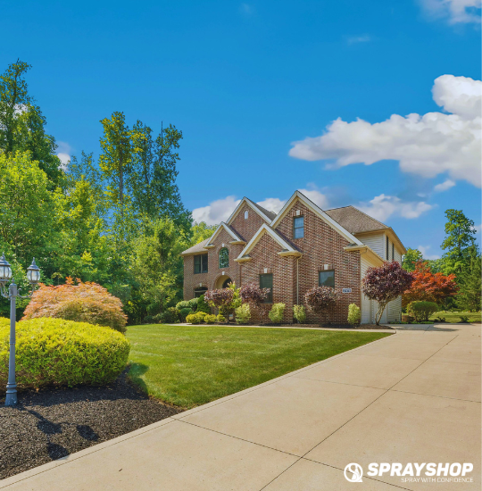 How to Control Moss, Algae & Mold around Your Property